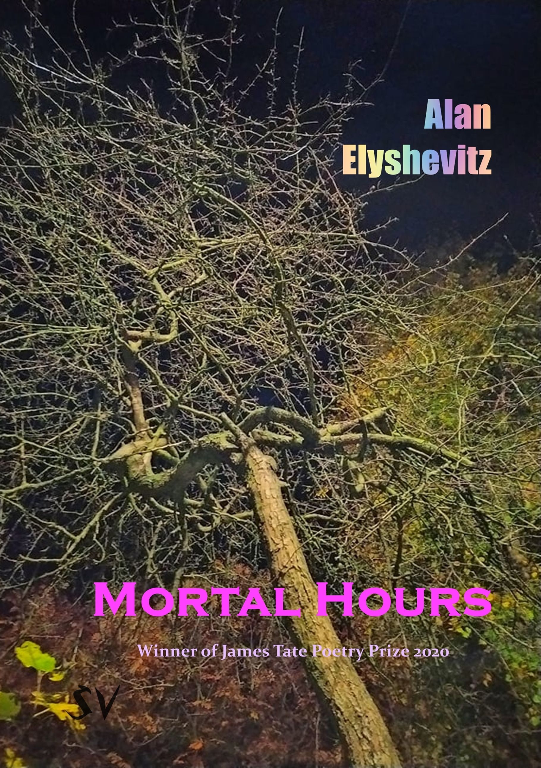 Mortal Hours